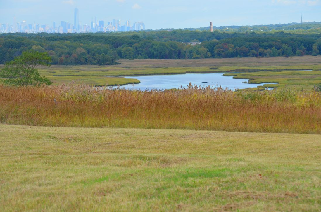 View from the North Park area of Freshkills Park<br/>